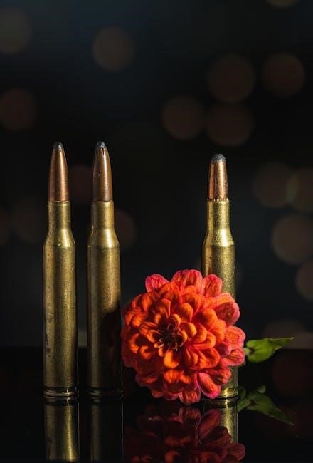 amazing bullet instructions